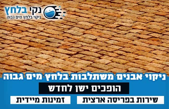 ניקוי אבנים משתלבות