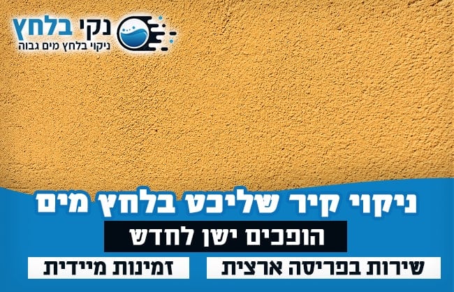 ניקוי קיר שליכט